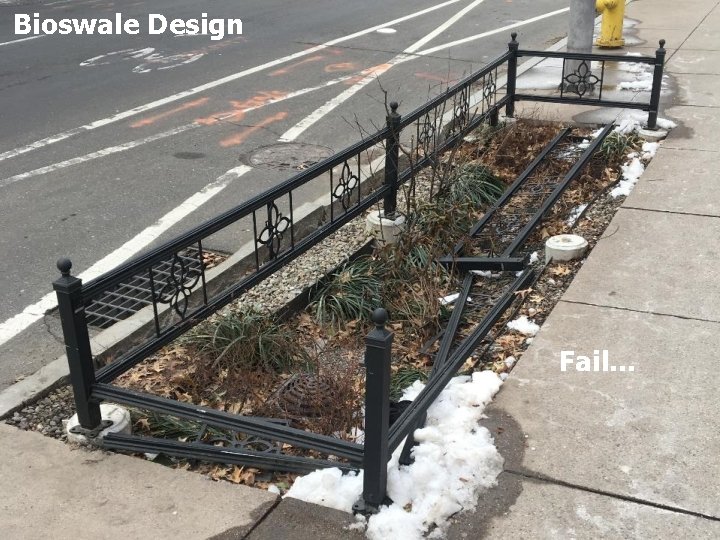 Bioswale Design Fail… 