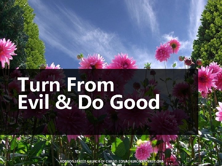 Turn From Evil & Do Good ROBISON STREET CHURCH OF CHRIST- EDNACHURCHOFCHRIST. ORG 