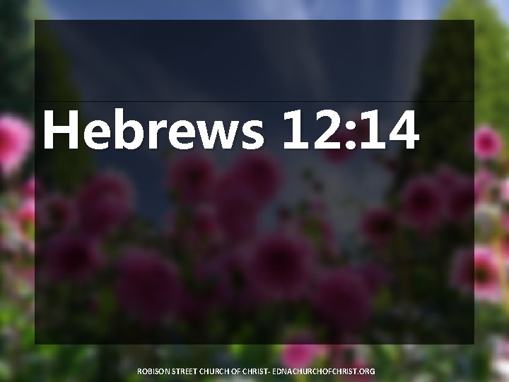 Hebrews 12: 14 ROBISON STREET CHURCH OF CHRIST- EDNACHURCHOFCHRIST. ORG 