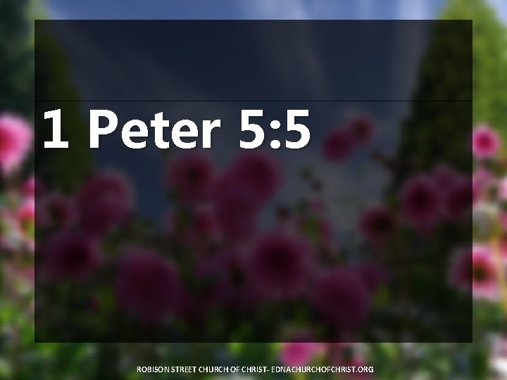 1 Peter 5: 5 ROBISON STREET CHURCH OF CHRIST- EDNACHURCHOFCHRIST. ORG 