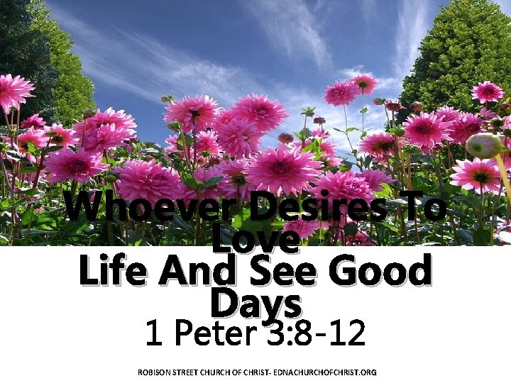 Whoever Desires To Love Life And See Good Days 1 Peter 3: 8 -12