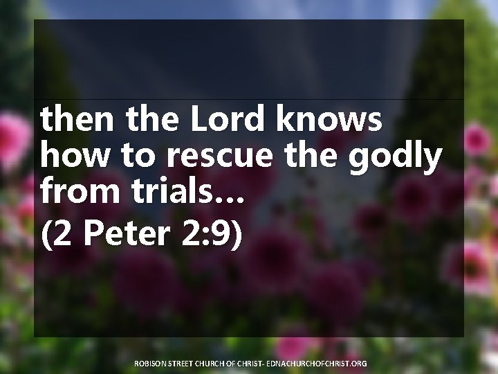 then the Lord knows how to rescue the godly from trials… (2 Peter 2: