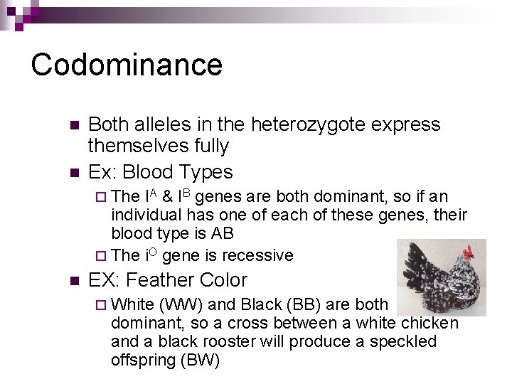 Codominance n n Both alleles in the heterozygote express themselves fully Ex: Blood Types