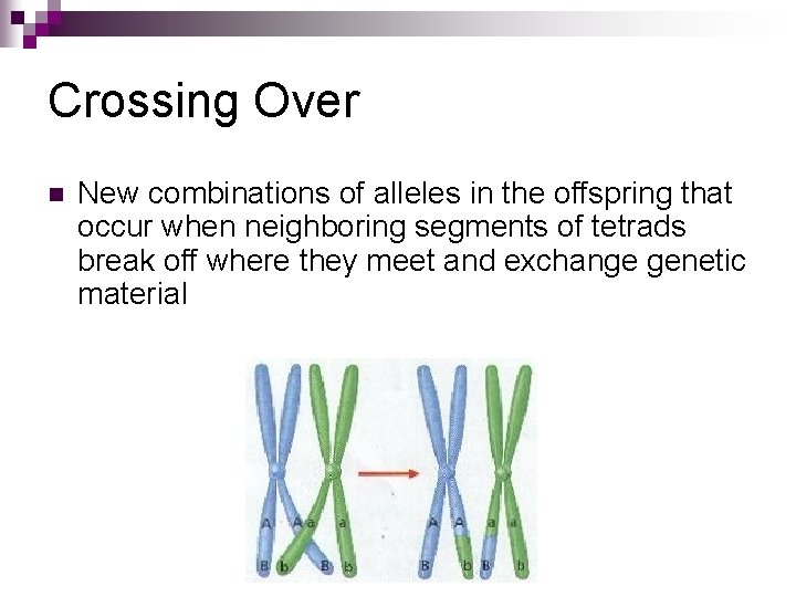 Crossing Over n New combinations of alleles in the offspring that occur when neighboring