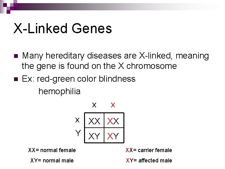 X-Linked Genes n n Many hereditary diseases are X-linked, meaning the gene is found