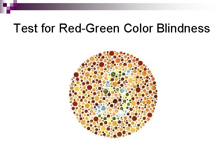 Test for Red-Green Color Blindness 