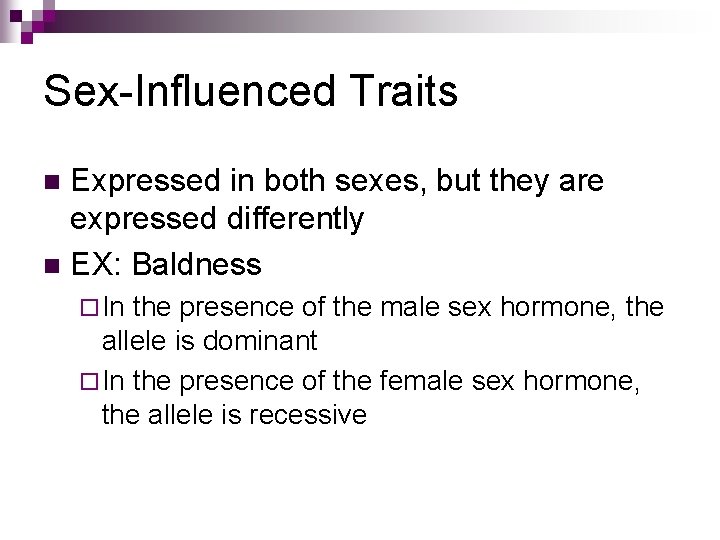 Sex-Influenced Traits Expressed in both sexes, but they are expressed differently n EX: Baldness