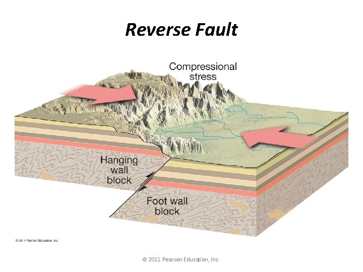 Reverse Fault © 2011 Pearson Education, Inc. 