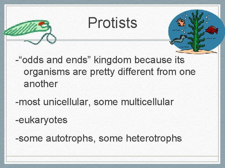 Protists -“odds and ends” kingdom because its organisms are pretty different from one another