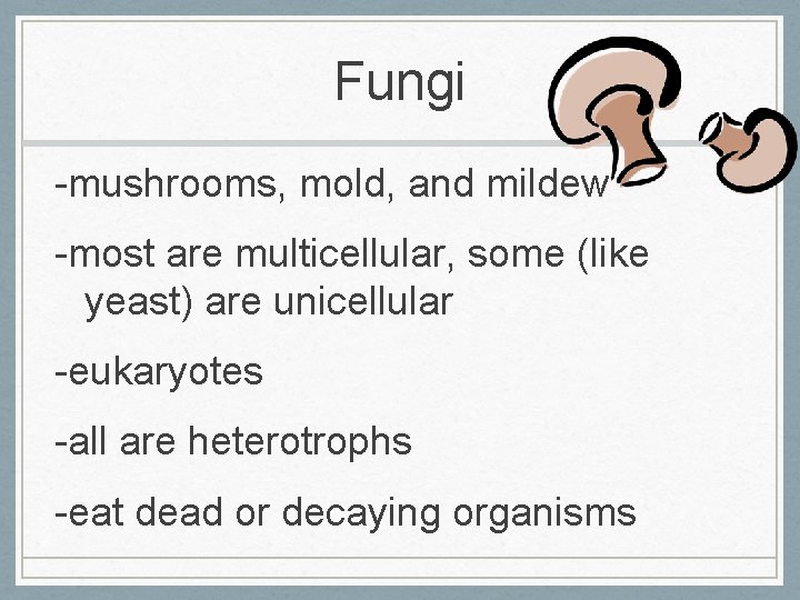 Fungi -mushrooms, mold, and mildew -most are multicellular, some (like yeast) are unicellular -eukaryotes