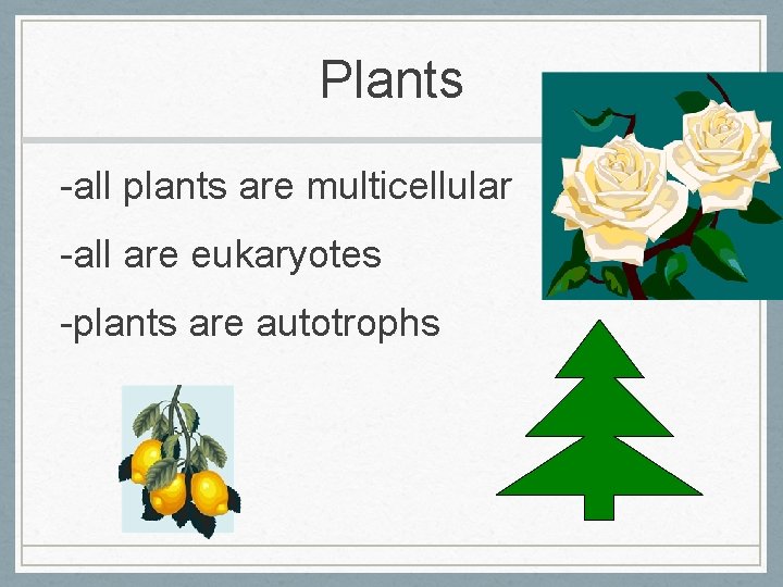Plants -all plants are multicellular -all are eukaryotes -plants are autotrophs 
