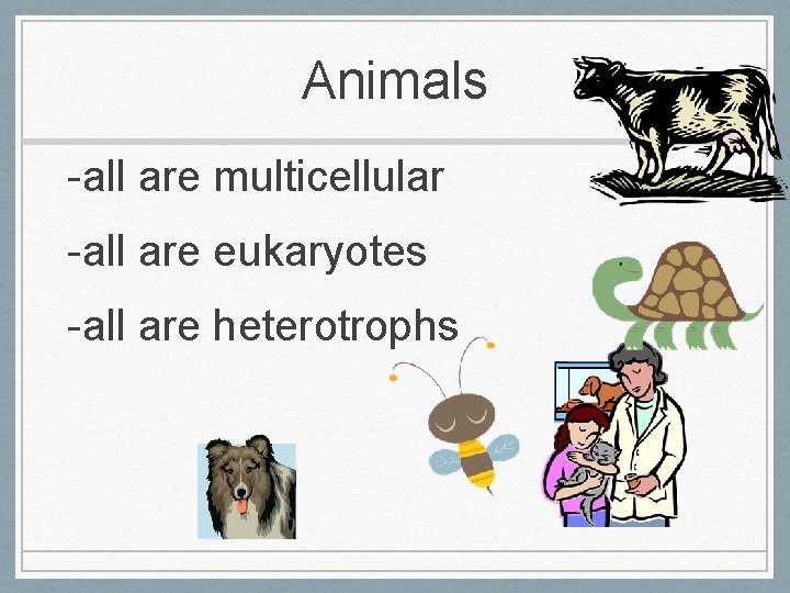 Animals -all are multicellular -all are eukaryotes -all are heterotrophs 