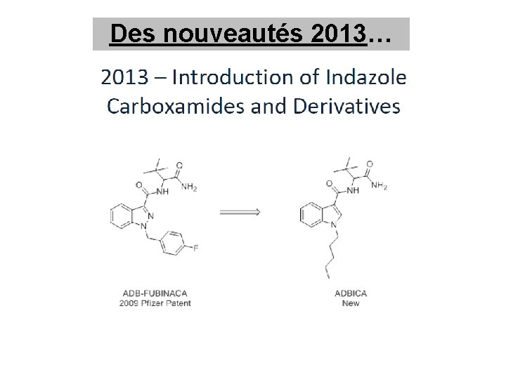 Des nouveautés 2013… 