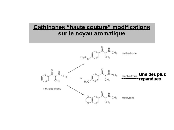 Cathinones “haute couture” modifications sur le noyau aromatique Une des plus ----- répandues 
