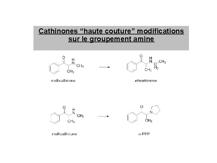 Cathinones “haute couture” modifications sur le groupement amine 