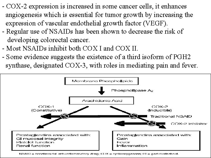 - COX-2 expression is increased in some cancer cells, it enhances angiogenesis which is