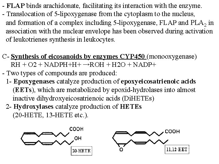 - FLAP binds arachidonate, facilitating its interaction with the enzyme. - Translocation of 5