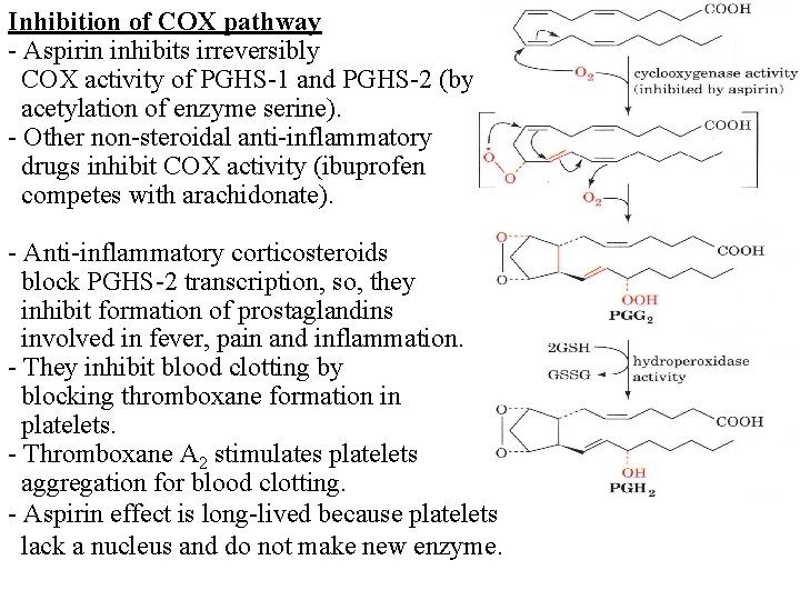 Inhibition of COX pathway - Aspirin inhibits irreversibly COX activity of PGHS-1 and PGHS-2