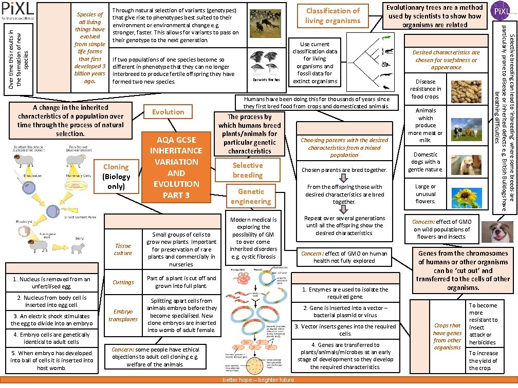 Over time this results in the formation of new species. If two populations of