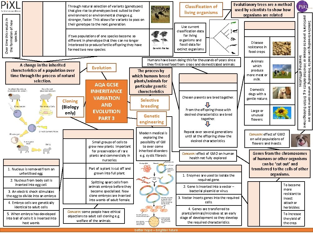 Over time this results in the formation of new species. Cloning (Biology only) Evolution