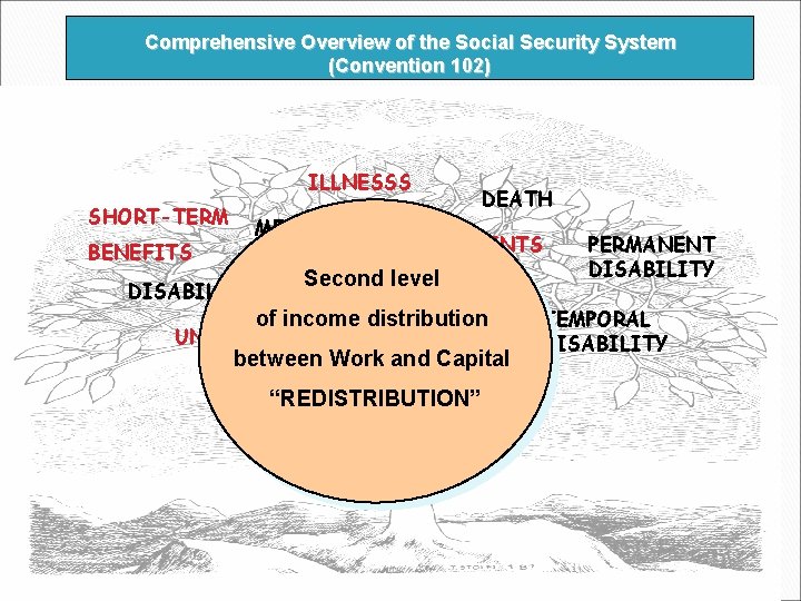 Comprehensive Overview of the Social Security System (Convention 102) ILLNESSS SHORT-TERM DEATH MEDICAL BENEFITS