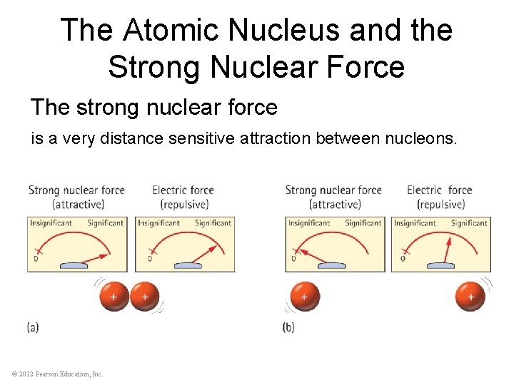 The Atomic Nucleus and the Strong Nuclear Force The strong nuclear force is a