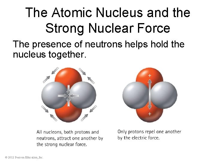 The Atomic Nucleus and the Strong Nuclear Force The presence of neutrons helps hold