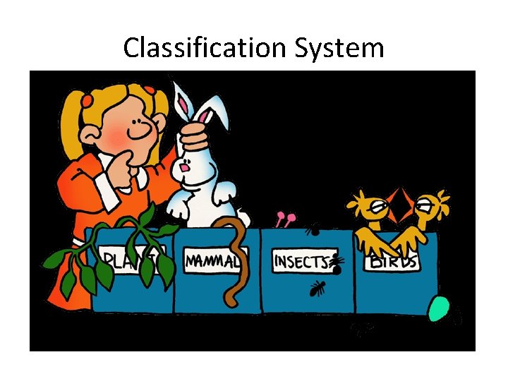 Classification System 