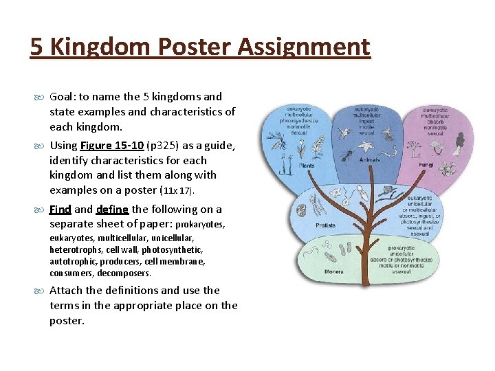 5 Kingdom Poster Assignment Goal: to name the 5 kingdoms and state examples and