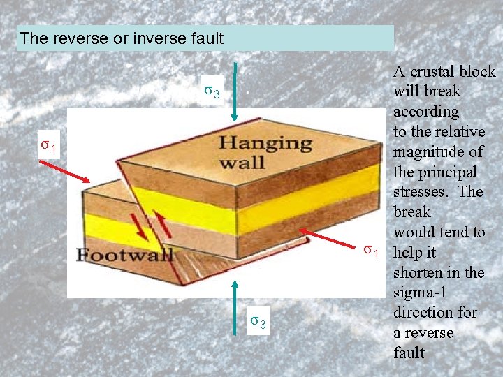 The reverse or inverse fault σ3 σ1 σ1 σ3 A crustal block will break