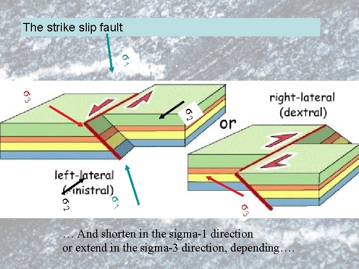 The strike slip fault σ1 σ3 σ2 σ3 σ1 σ2 … And shorten in