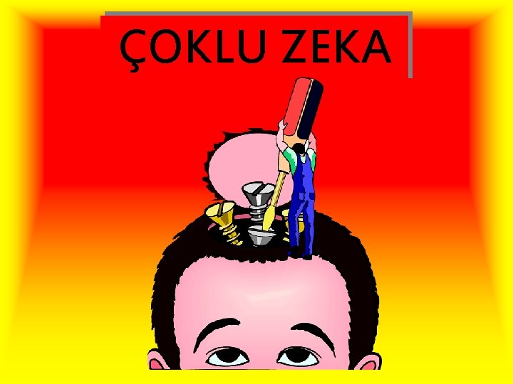 ÇOKLU ZEKA 