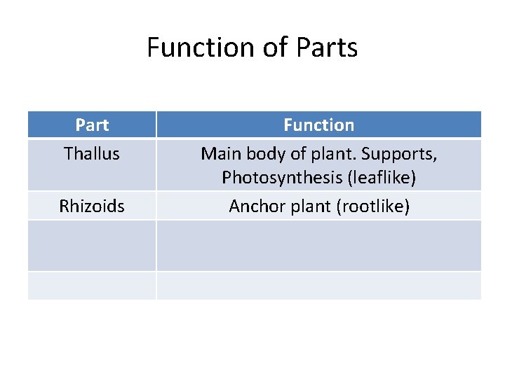 Function of Parts Part Thallus Rhizoids Function Main body of plant. Supports, Photosynthesis (leaflike)