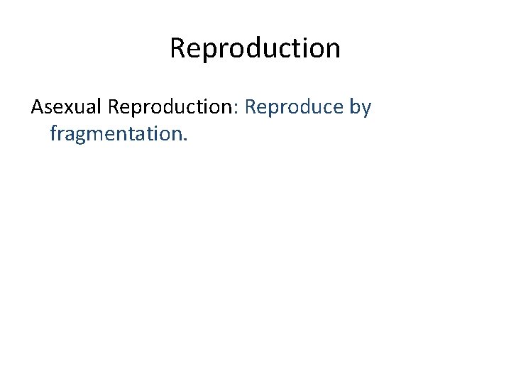 Reproduction Asexual Reproduction: Reproduce by fragmentation. 
