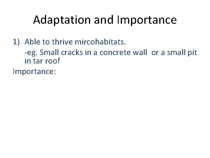 Adaptation and Importance 1) Able to thrive mircohabitats. -eg. Small cracks in a concrete