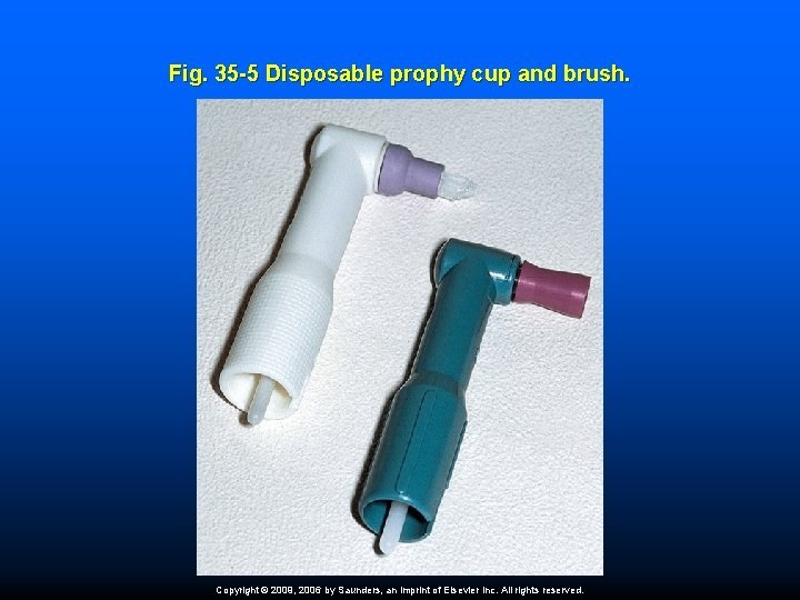 Fig. 35 -5 Disposable prophy cup and brush. Copyright © 2009, 2006 by Saunders,