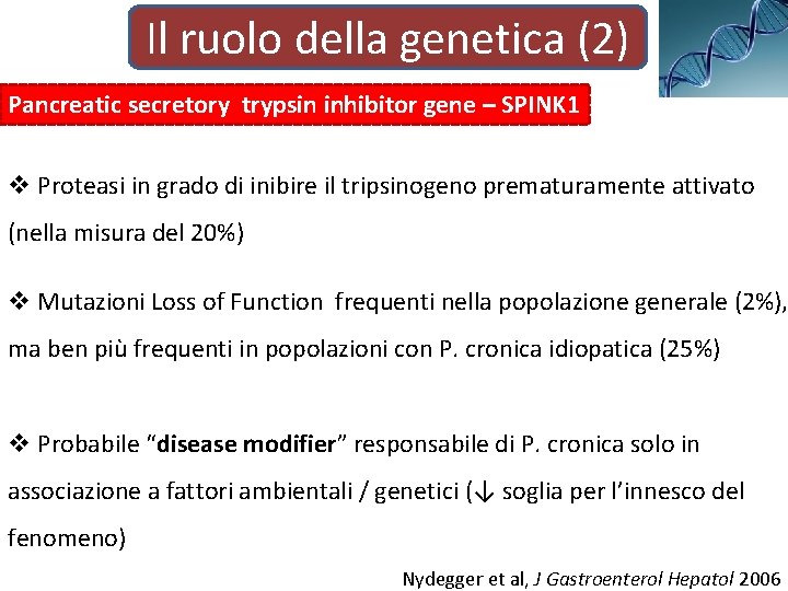 Il ruolo della genetica (2) Pancreatic secretory trypsin inhibitor gene – SPINK 1 v