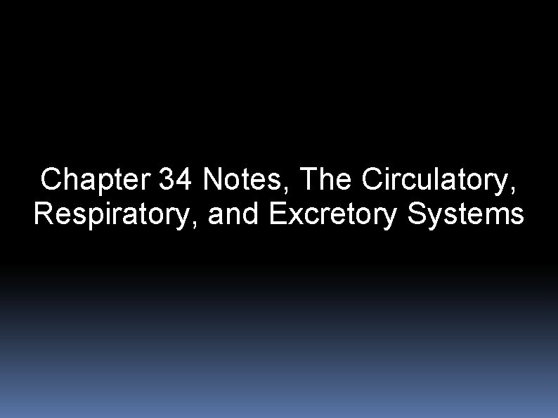 Chapter 34 Notes, The Circulatory, Respiratory, and Excretory Systems 