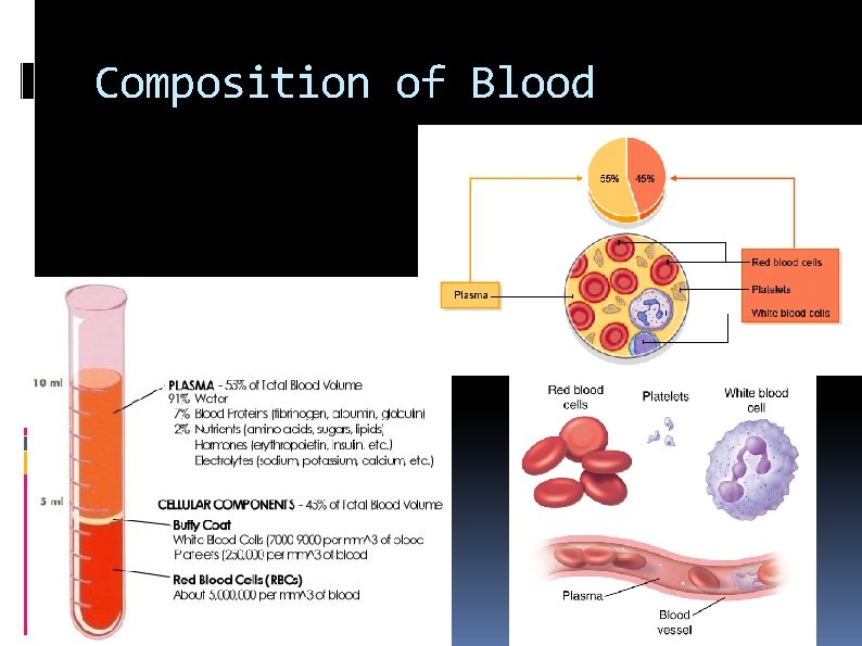 Composition of Blood 