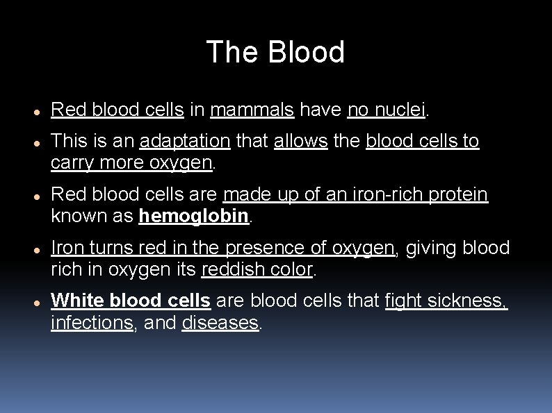 The Blood Red blood cells in mammals have no nuclei. This is an adaptation