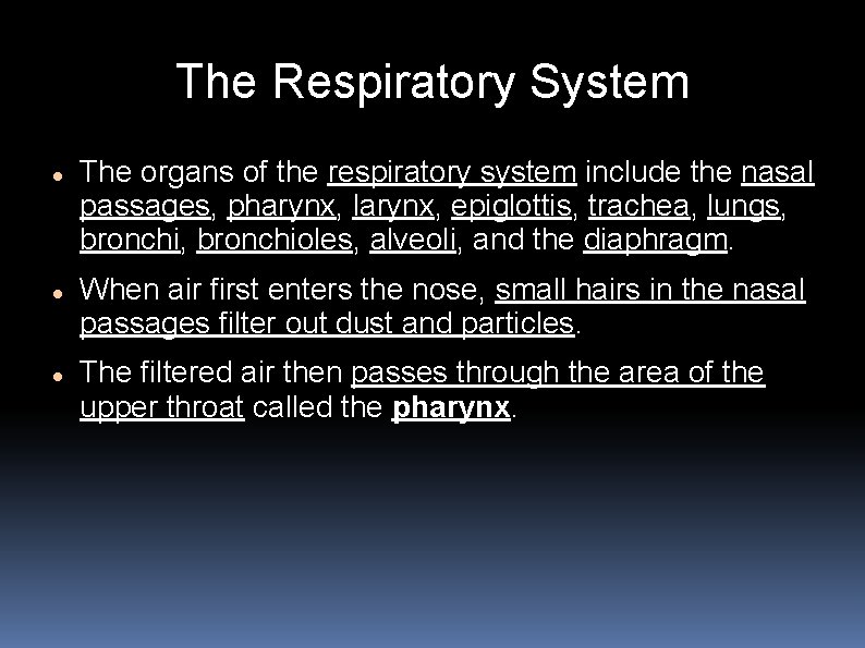 The Respiratory System The organs of the respiratory system include the nasal passages, pharynx,