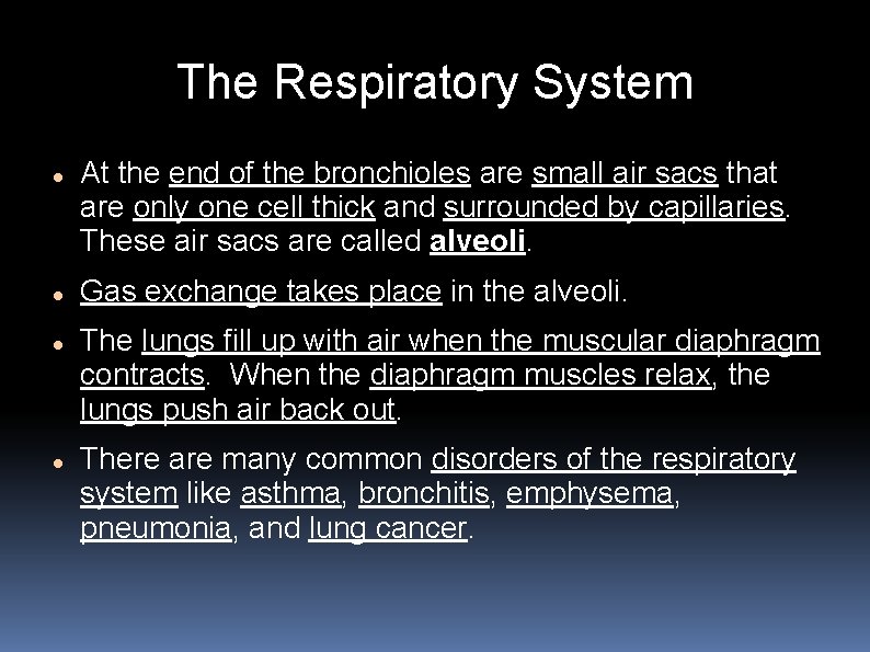 The Respiratory System At the end of the bronchioles are small air sacs that