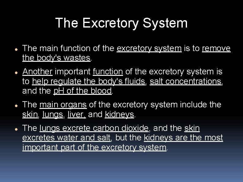 The Excretory System The main function of the excretory system is to remove the