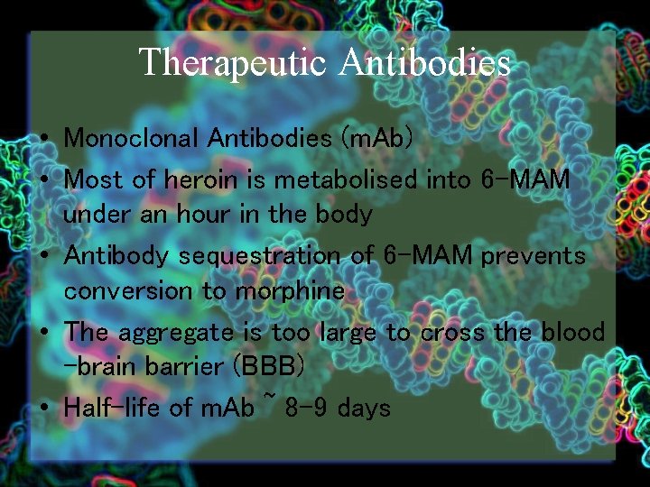 Therapeutic Antibodies • Monoclonal Antibodies (m. Ab) • Most of heroin is metabolised into