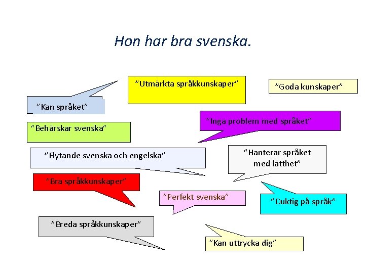 Hon har bra svenska. ”Utmärkta språkkunskaper” ”Goda kunskaper” ”Kan språket” ”Inga problem med språket”