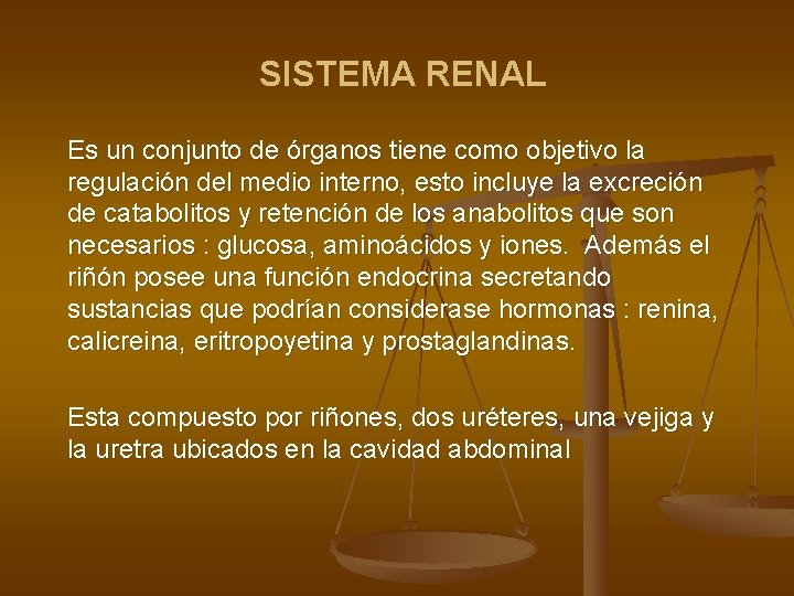 SISTEMA RENAL Es un conjunto de órganos tiene como objetivo la regulación del medio
