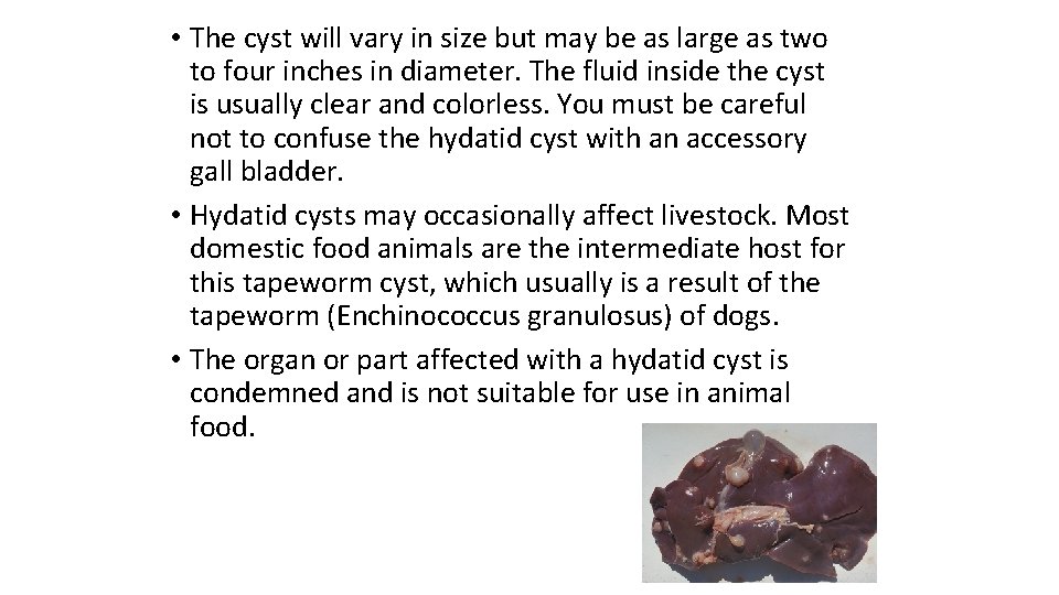  • The cyst will vary in size but may be as large as