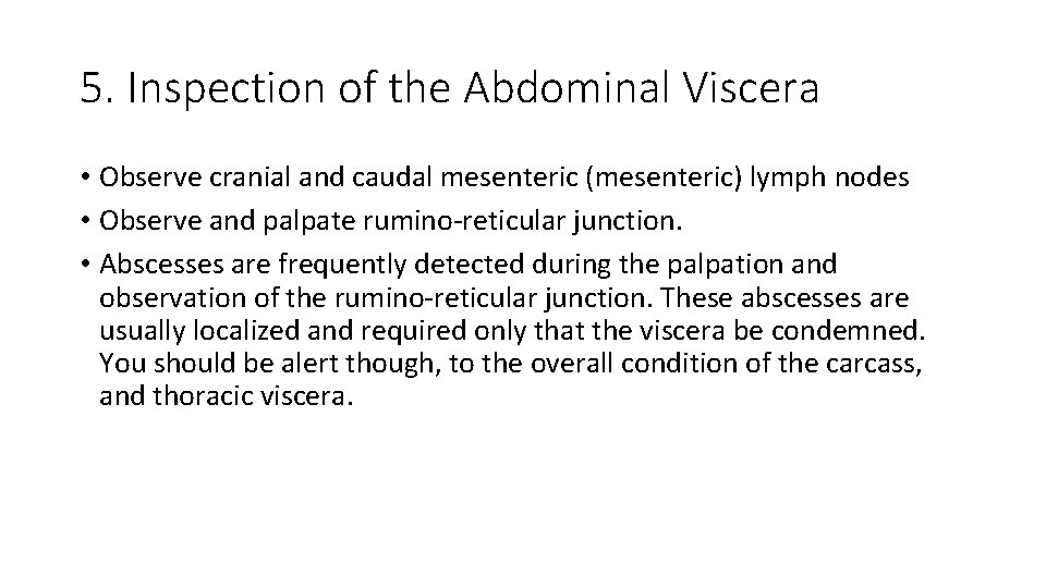 5. Inspection of the Abdominal Viscera • Observe cranial and caudal mesenteric (mesenteric) lymph