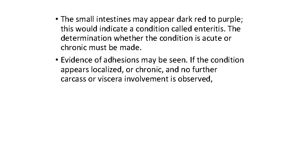  • The small intestines may appear dark red to purple; this would indicate