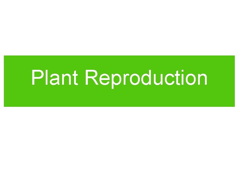 Plant Reproduction Plant Reproduction